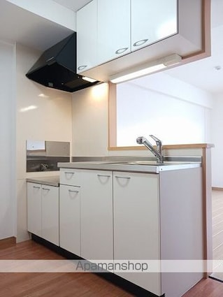 サンフォレスタ上道[1R/36.75m2]のキッチン