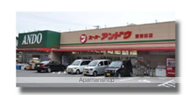 コスモスの周辺写真