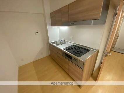 東京都立川市富士見町２丁目[3DK/52.05m2]のキッチン