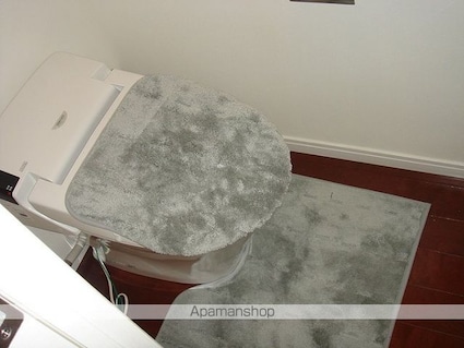 レジディア東麻布[1SLDK/56.44m2]のトイレ