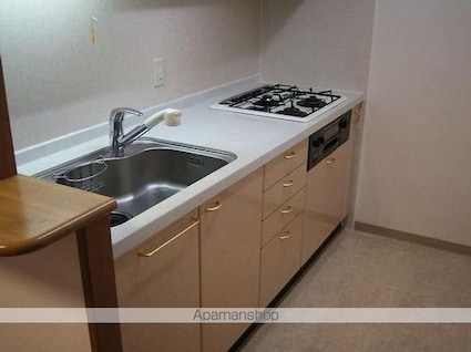 クリオ東新宿壱番館[2LDK/51.63m2]のキッチン