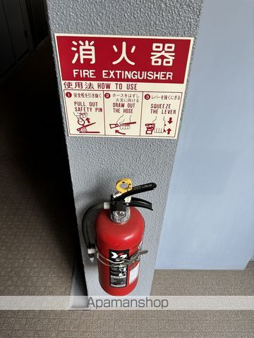 ESLEADDOSHINDAINIのその他写真