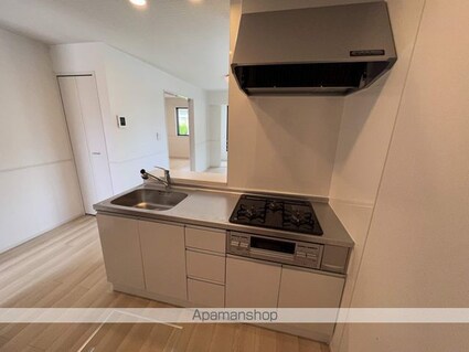 グリーン琥珀甲南Ⅱ[1LDK/50.08m2]のキッチン