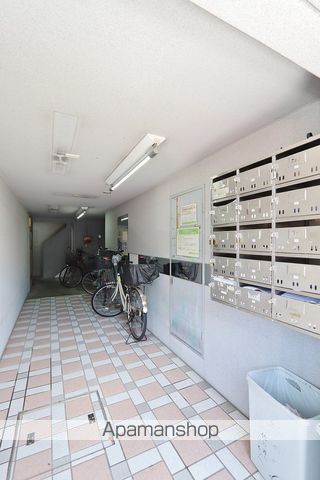 アルカディアのその他写真