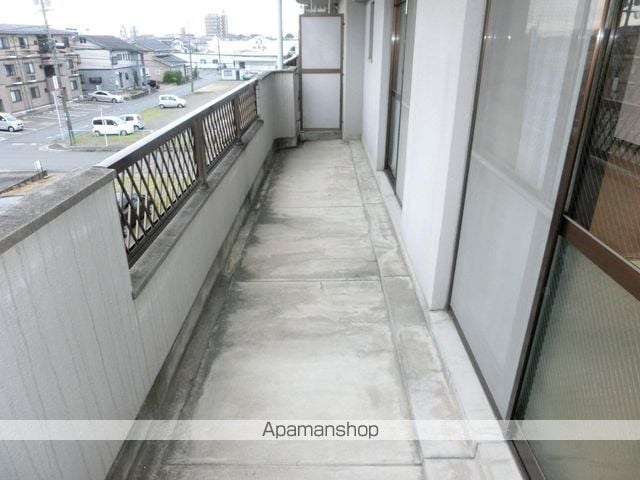 プルメリアのその他写真