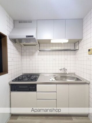 グレイスヴィラＭ[2LDK/46m2]のキッチン