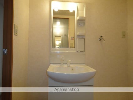 メゾン・グロワール[1LDK/45.63m2]の洗面所