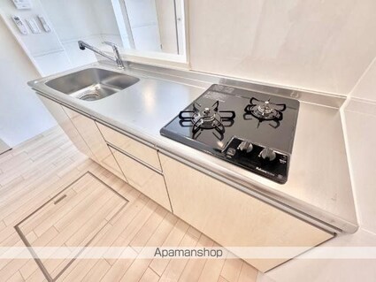 ドエル・カルミア[2LDK/48.61m2]のキッチン3