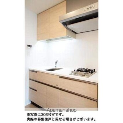 パークアクシス高田馬場テラス[1K/25.1m2]のキッチン
