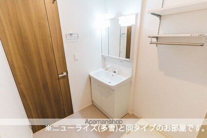 セイバリーＦ[2LDK/63.03m2]の洗面所