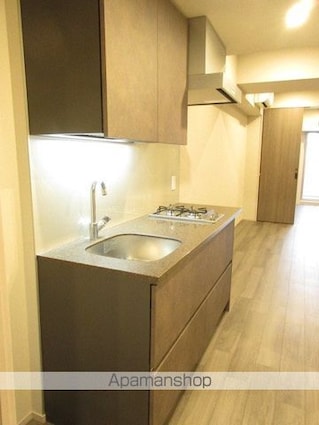 ザ・パークハビオ高円寺レジデンス[1LDK/40.63m2]のキッチン