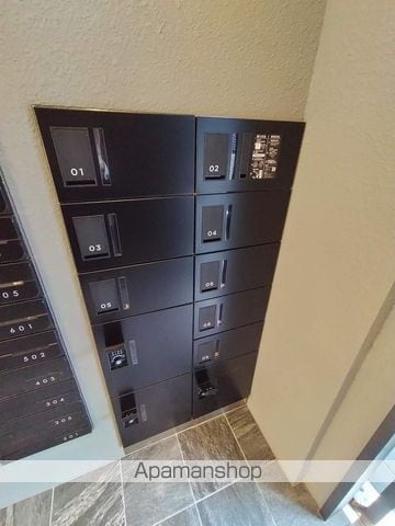 ネスト谷六のその他写真