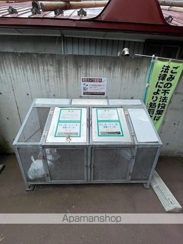 ルピナスのその他写真