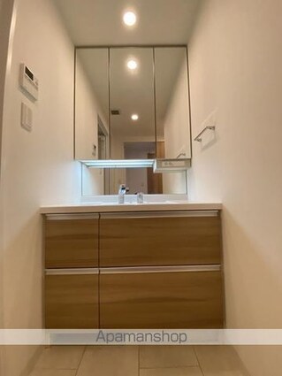 アルファステイツ丸の内レジデンス[3LDK/69.84m2]の洗面所