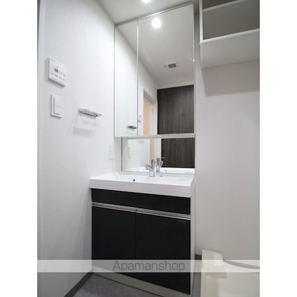 プレール・ドゥーク亀戸Ⅵ[1LDK/36.61m2]の洗面所