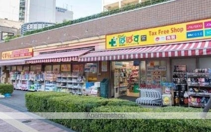 グランマノワール[1LDK/42.86m2]の周辺1