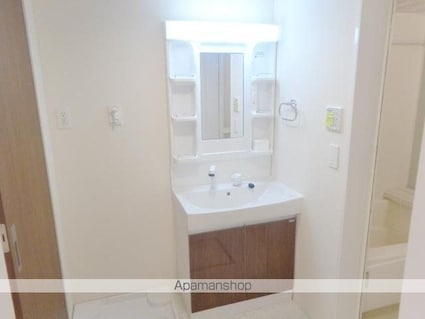 リブレ（Ｌｉｂｒｅ）聖蹟[1LDK/45.48m2]の洗面所