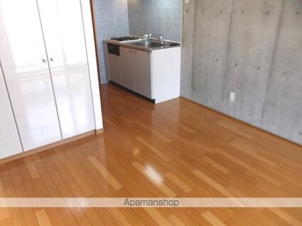 ヴィルラフィーネ東新宿[1R/25.76m2]のリビング・居間2