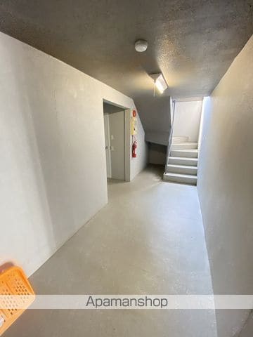 たんぽぽのその他写真