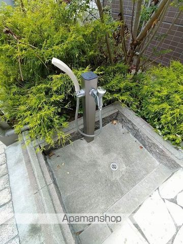 アルコバレーノのその他写真