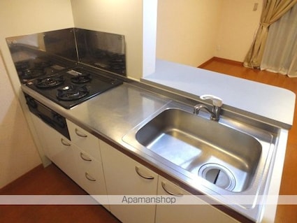 レオパレスプレミール[1K/31.05m2]のキッチン