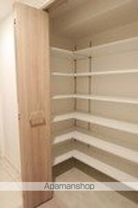ＴＨＥ　ＰＡＬＭＳ錦糸町[2LDK/57.29m2]のその他設備