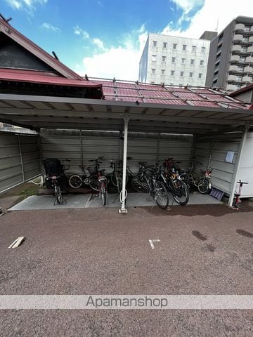 ルピナスのその他写真