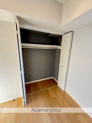 カスタリア銀座Ⅱ[1LDK/45.86m2]の収納