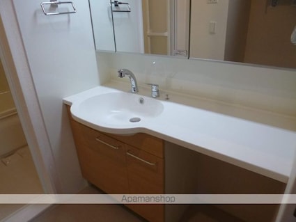 セレンディピティ矢倉[2LDK/58.07m2]の洗面所