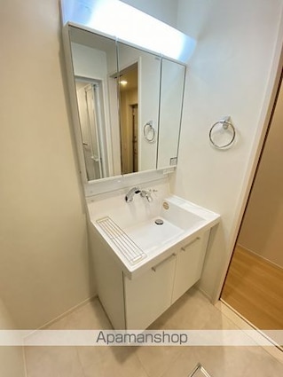 ｓｋｙｅ　Ｓ１[1K/30.29m2]の洗面所