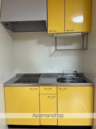 Ｓｃｈｌｏｓｓｅ　Ｆｕｊｉ　ＩＩＩ[1LDK/36.96m2]のキッチン