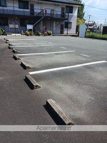 サンフラワーのその他写真