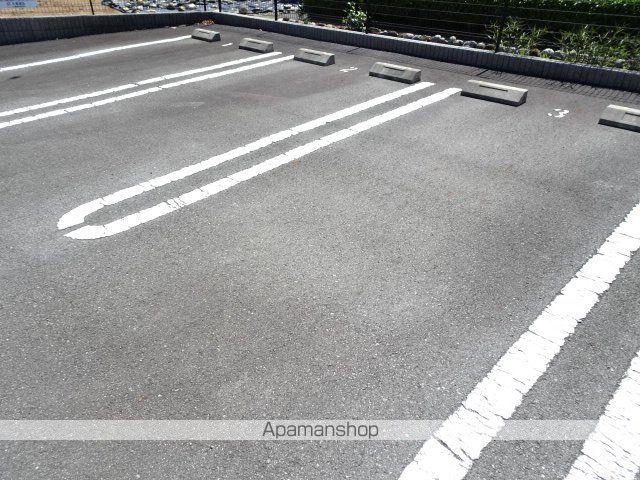 フォレストフェアリーのその他写真