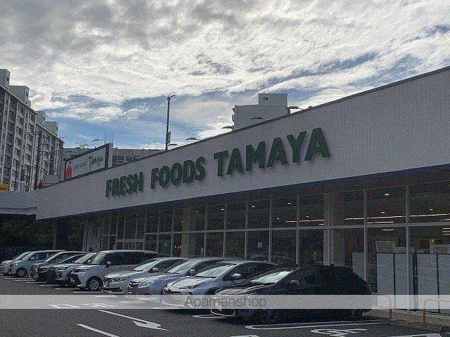 レオパレス谷中の周辺写真