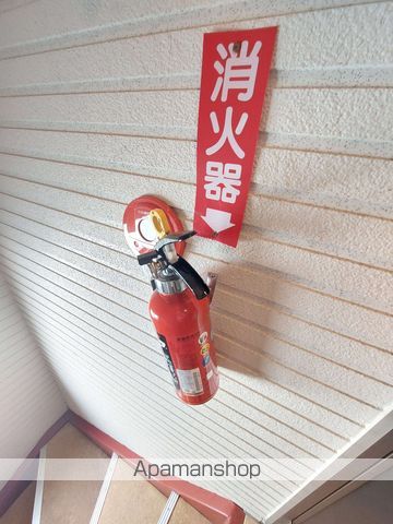 リリー光星のその他写真