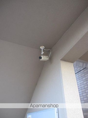 アルストロメリアの周辺写真