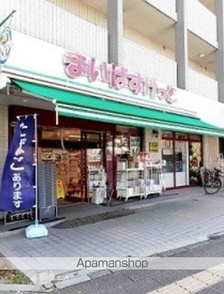 ハーモニーテラス上板橋Ⅱ[1R/12.32m2]の周辺3