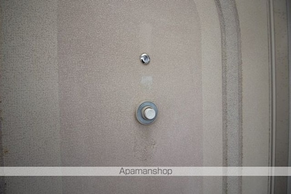 メゾンドピュール[1K/24.71m2]のセキュリティ