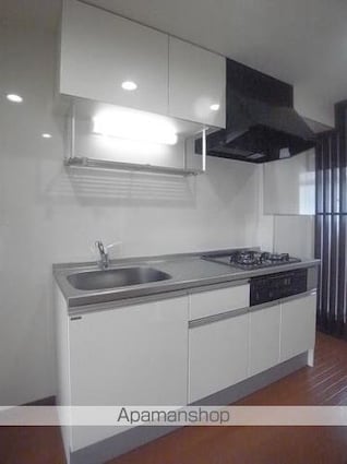 緑山ハイツＡ[3DK/52.39m2]のキッチン