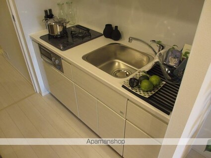 パークアクシス錦糸町ヴェール[1LDK/33.92m2]のキッチン