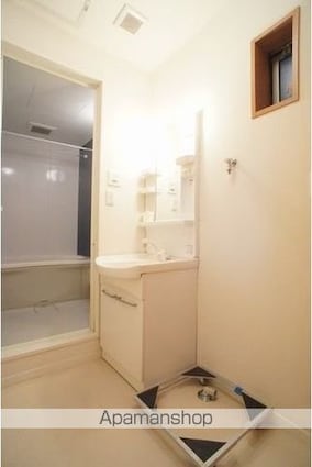 群馬県邑楽郡大泉町坂田５丁目[1LDK/41.67m2]の洗面所