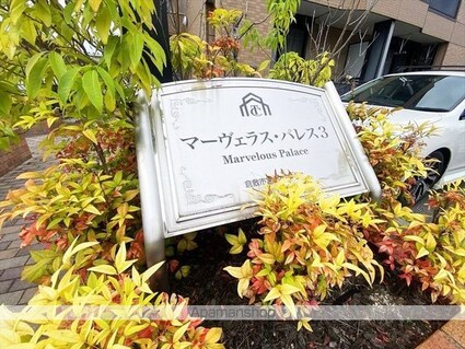 マーヴェラスパレス３[1LDK/36m2]の外観5