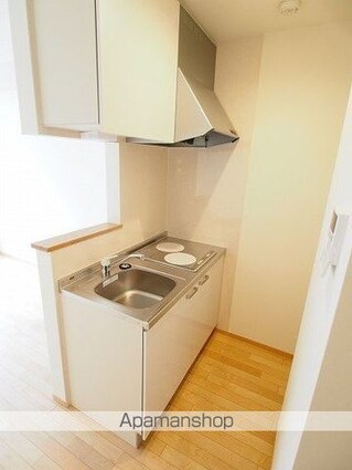 リアン　リン（Ｌｉｅｎ　Ｌｉｎ）[1R/30.5m2]のキッチン