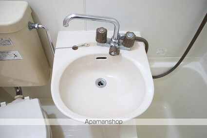 ロイヤルステイ[1R/22.06m2]の洗面所