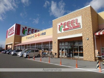 サン　フォレスト　ヴィラ[2LDK/57.52m2]の周辺1