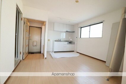 清水マンション[2LDK/49.5m2]の内装3