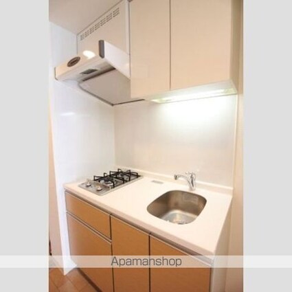 神奈川県横浜市鶴見区豊岡町[1K/21.11m2]のキッチン