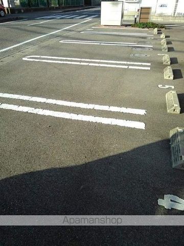 スターリースカイのその他写真