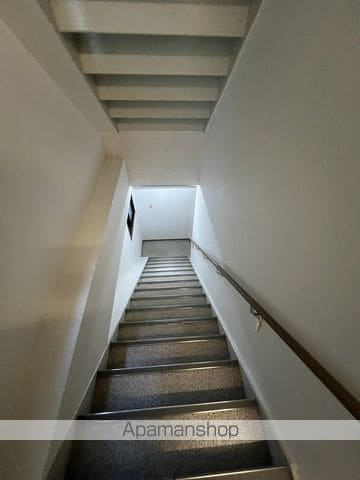 ペールウィのその他写真