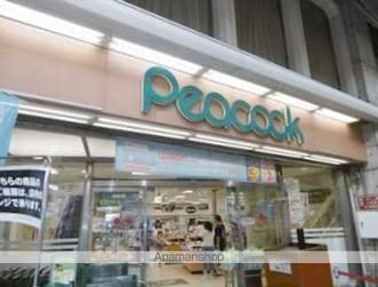 レオパレスリバー　Ｋ[1K/19.87m2]のエントランス2